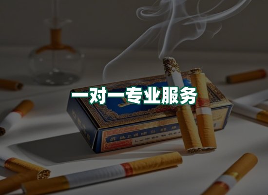 核心优势